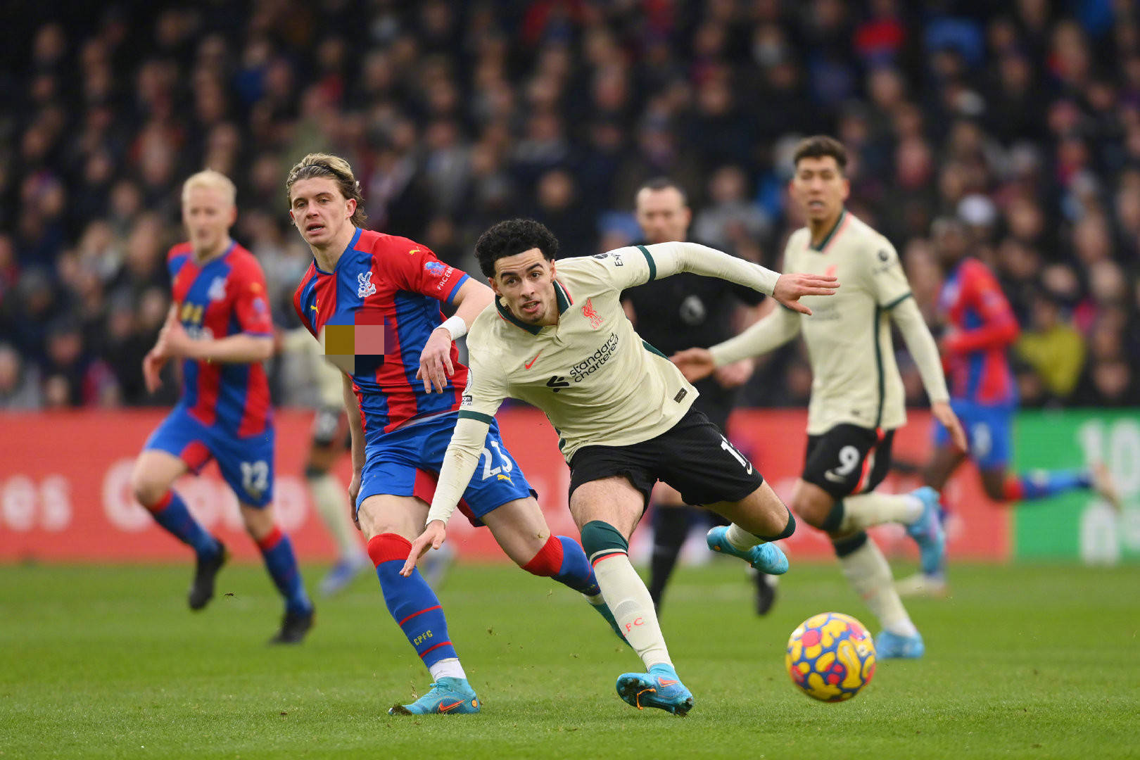 对策是接受 对策是接受